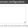 pfsense_-_my_configuration_-_services_-_suricata_-_interfaces_-_wan_-_wan_settings_-_arguments_here_will_be_automatically_inserted_into_the_suricata_configuration.png